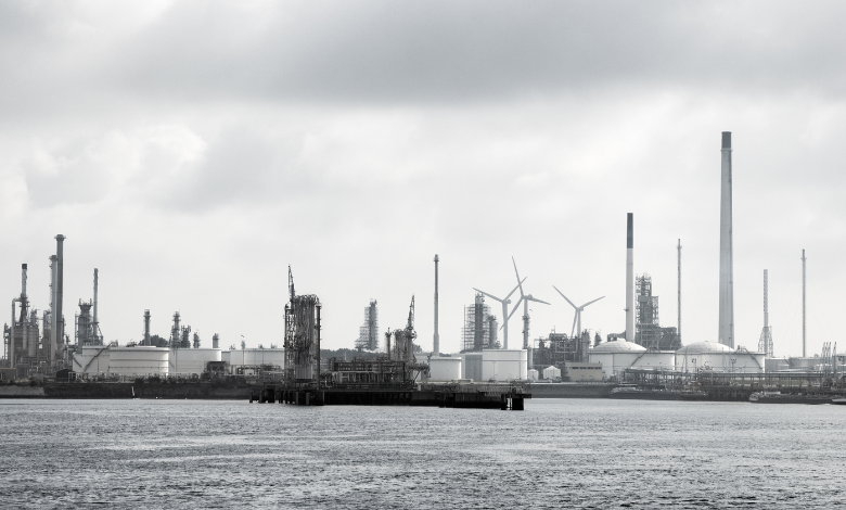 Implementation Of An Organization-Wide Power BI Solution For The Shipping Industry